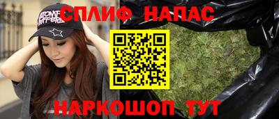 стаф Моздок