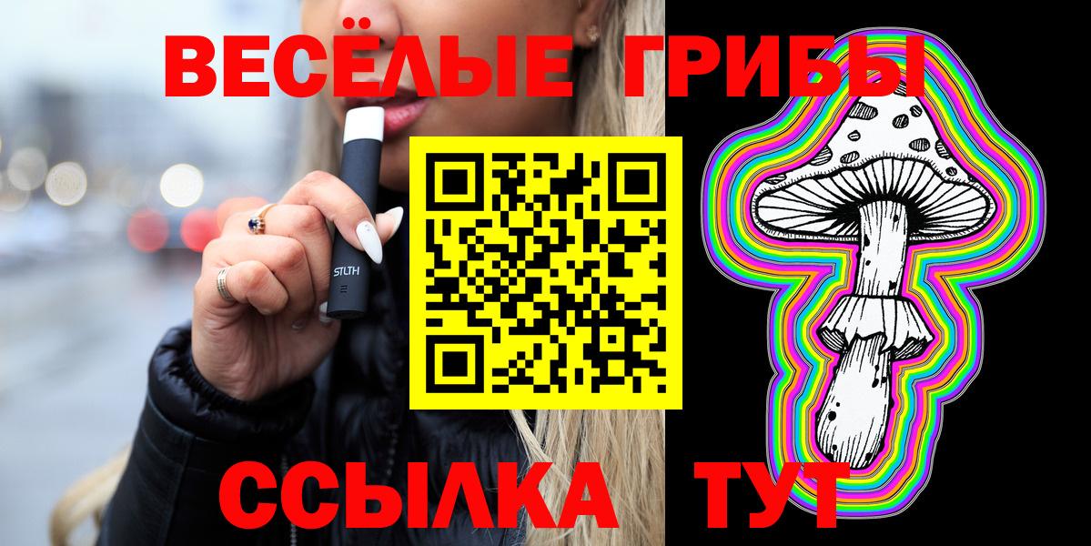 Верхняя Пышма  Псилоцибиновые грибы Psilocybe  Вход с VPN 